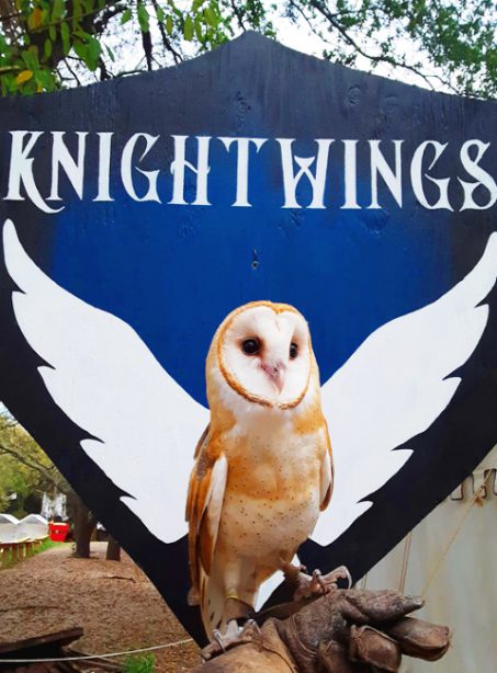 Knightwings
