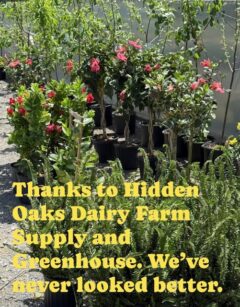 Thanks to Hidden Oaks Dairy Farm Supply and Greenhouse. We've never looked better.