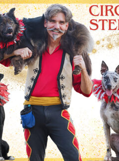 Circus Stella at the West Virginia Renaissance Festival