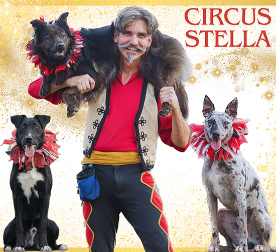Circus Stella at the West Virginia Renaissance Festival